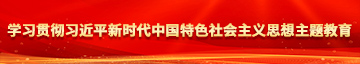 插日我的嫩逼逼啪啪视频学习贯彻习近平新时代中国特色社会主义思想主题教育